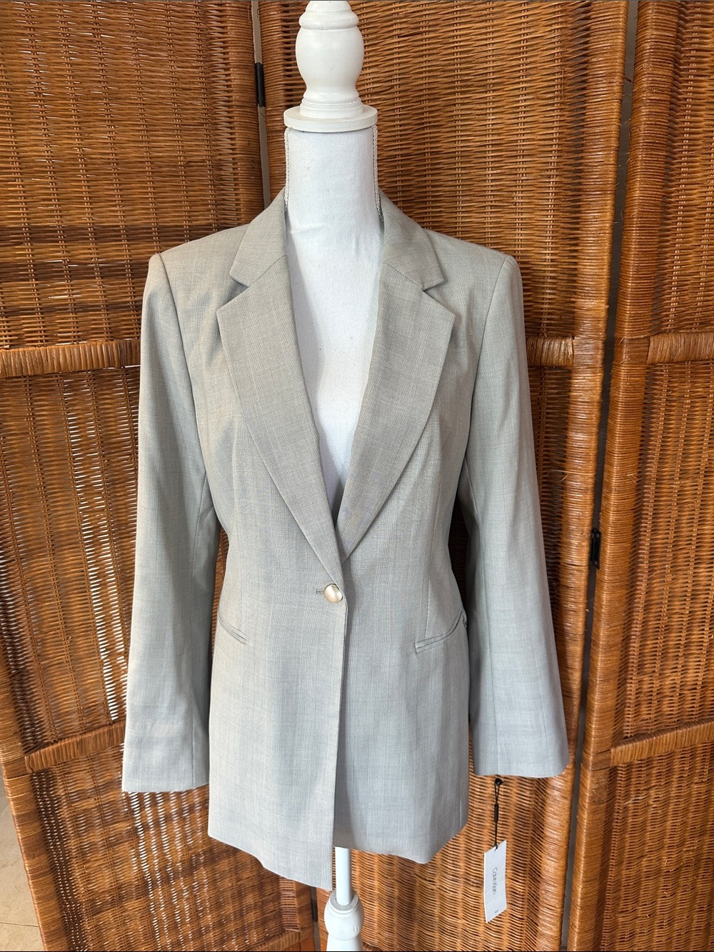 Light Gray Women's Single-Button Blazer